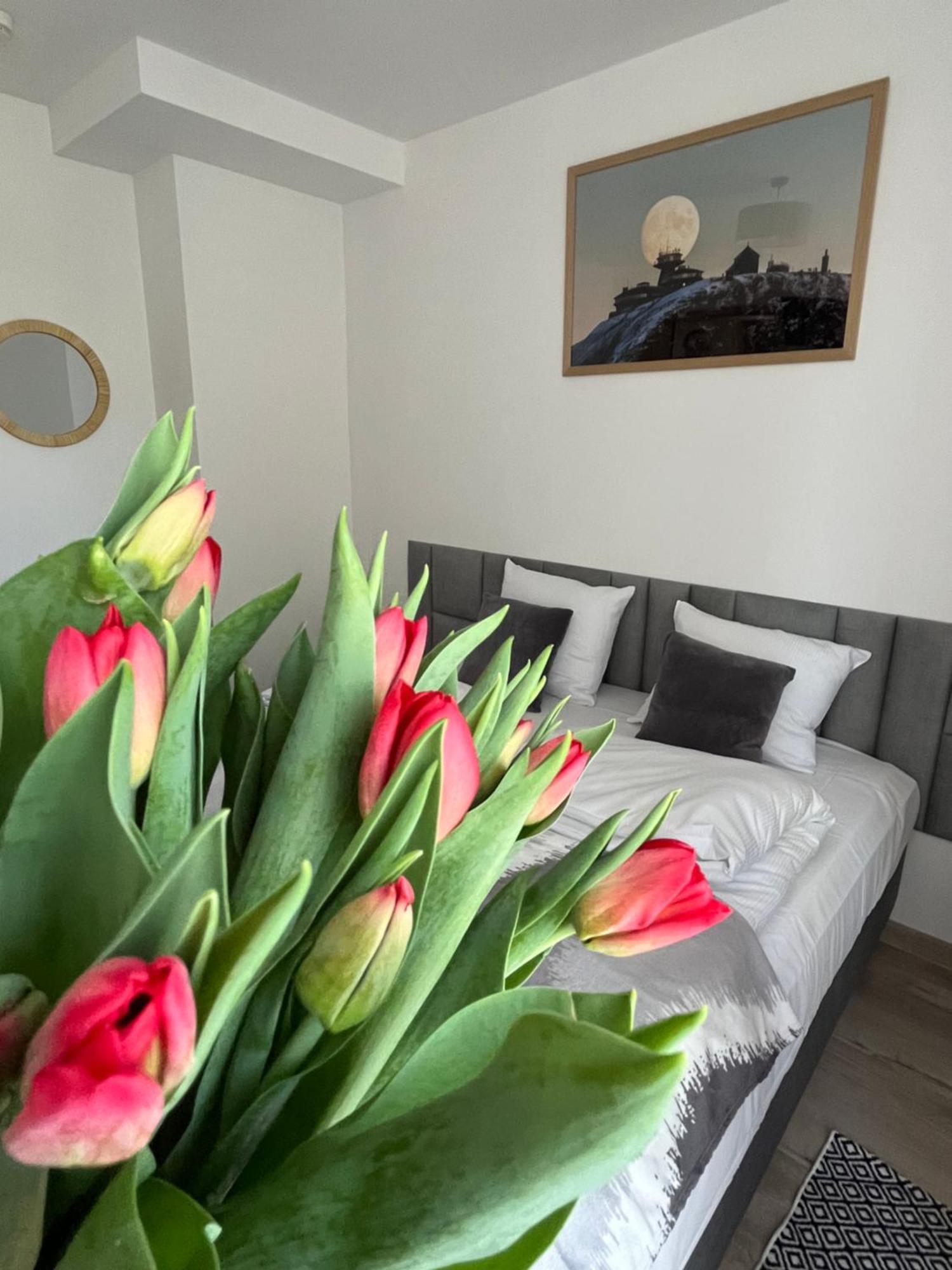 Karkonoskie Widoki Apartamenty Karpacz Luaran gambar