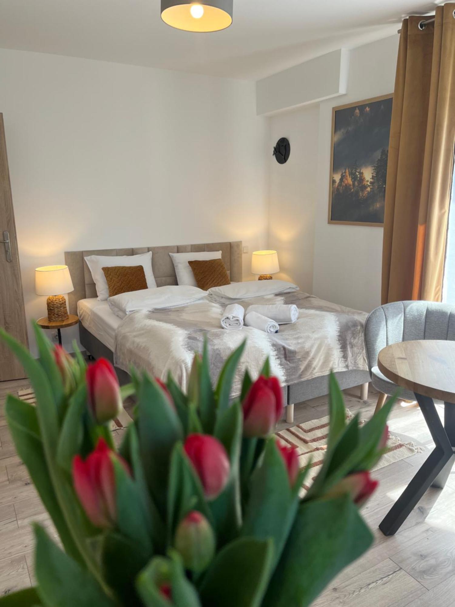 Karkonoskie Widoki Apartamenty Karpacz Luaran gambar