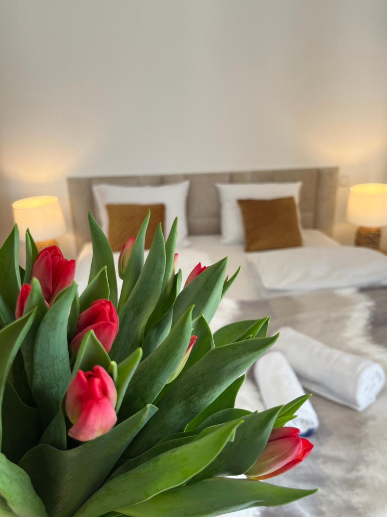 Karkonoskie Widoki Apartamenty Karpacz Luaran gambar
